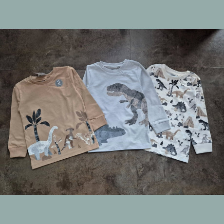 Next Jungen Set 3 Shirts Dinos Tiere langarm bunt neu 3-4/98-104