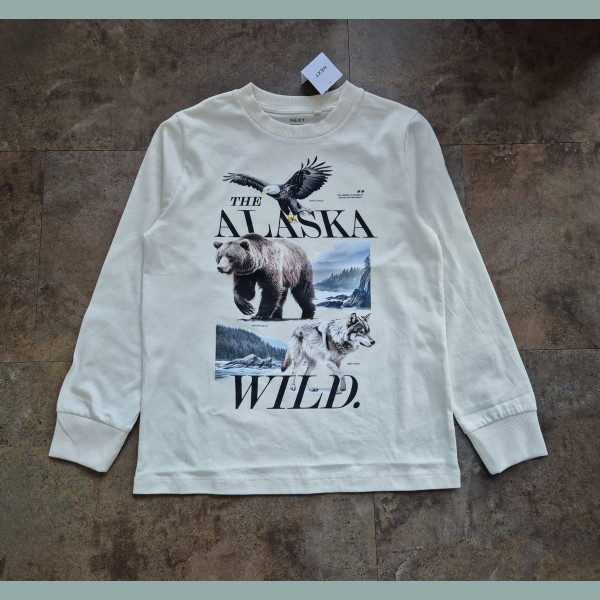 Next Jungen Shirt Bär Wolf Alaska Wild langarm beige neu 