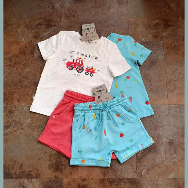 George Jungen Set 2 T-Shirts 2 Shorts Bermudas Gemüse Traktor rot blau 12-18/80-86